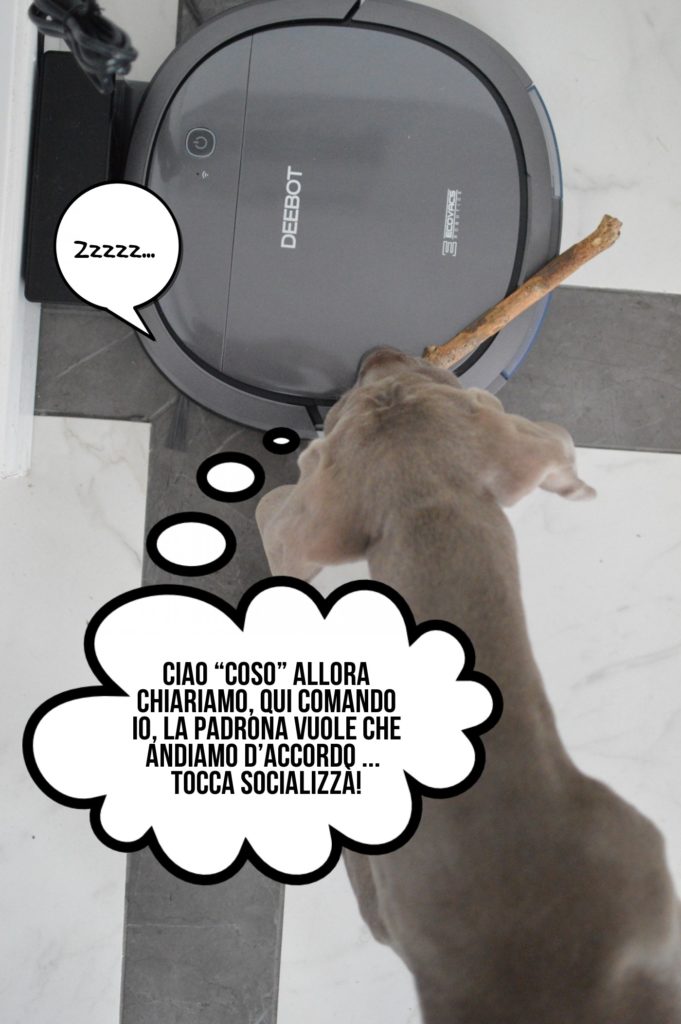 Deebot OZMO Slim10