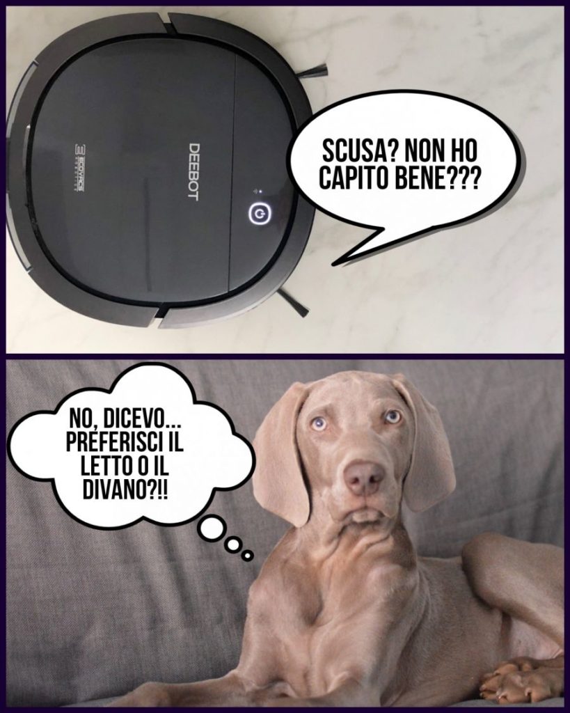 Deebot